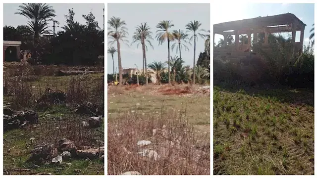 "ملعب الكرة بقى غيط رز" .. شكا...