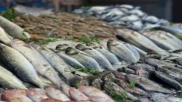 أسعار الأسماك والمأكولات البحرية في سوق العبور.. 72 جنيها لكيلو البلطي