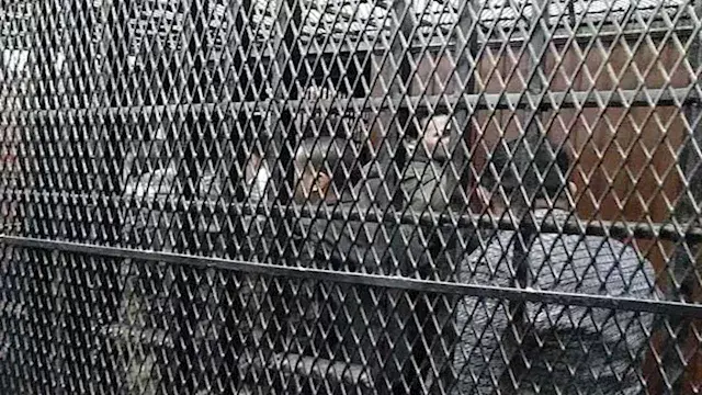 قاومت حتى النفس الأخير.. قرار من النيابة بشأن المتهم بقتل فتاة الأحراز بالقليوبية