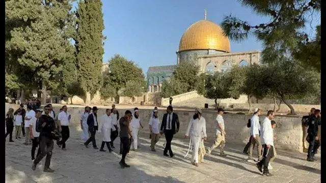 عشرات المستوطنين يقتحمون المسج...