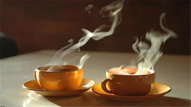 تفتت الدهون وتساعد على الهضم.....