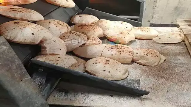 خبير اقتصادي: 68 مليون مواطن ي...