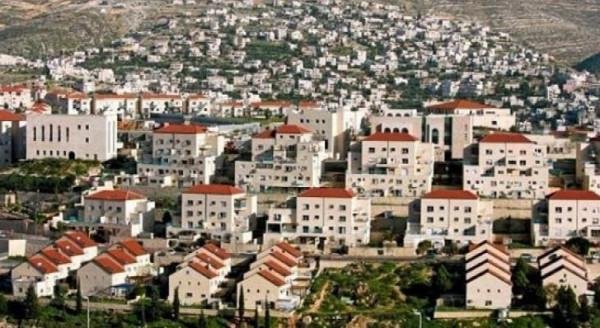 مجلس حكماء المسلمين يُدين  مخط...