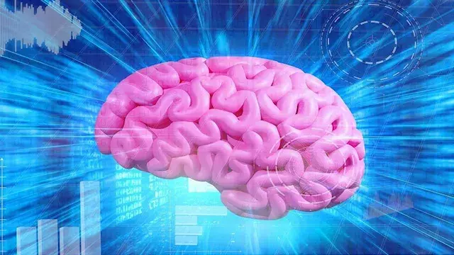 دراسة تكشف علاجا واعدا لتحسين...