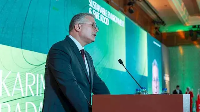 وزير البترول: تأمين الغاز لصنا...