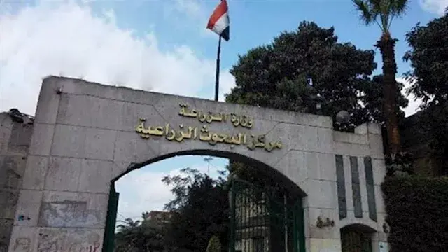 " بيهزر معايا وكلامه صح".. أول تعليق من باحث البحيرة على نقاشه مع وزير الزراعة