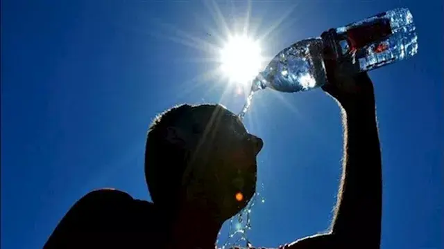 نصائح لتجنب الجفاف والإجهاد أثناء ذبح الأضحية