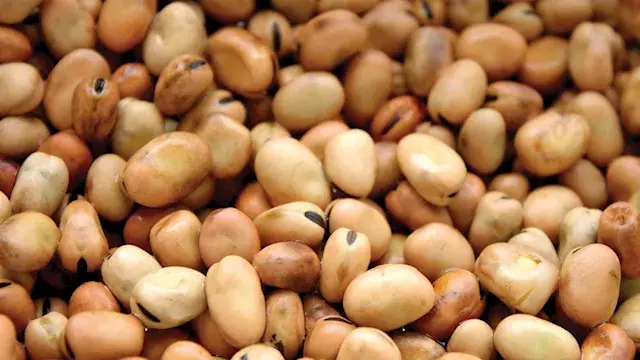 انخفاض أسعار الفول والدقيق والمكرونة بالأسواق اليوم (موقع رسمي)