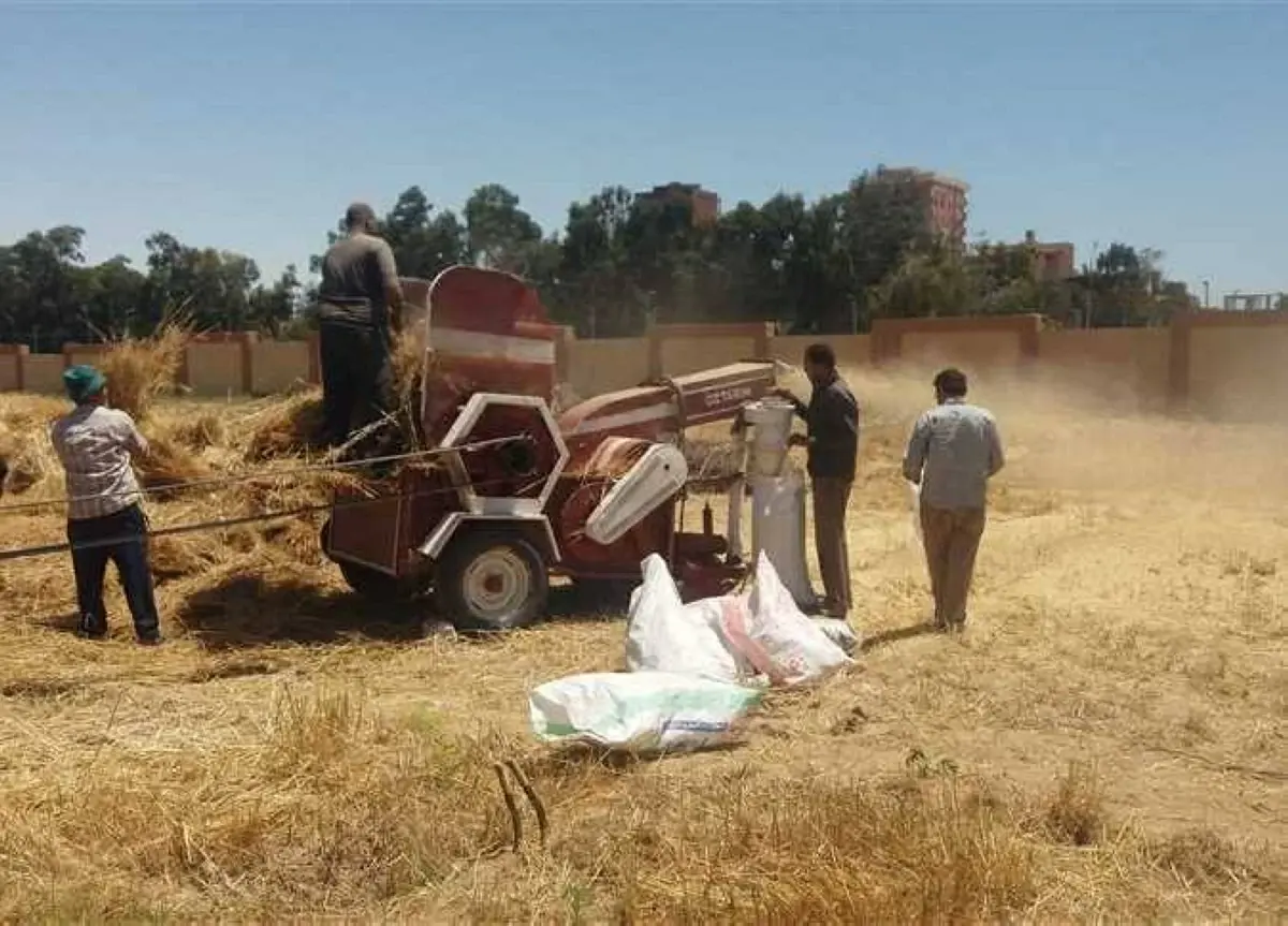 إصابة مزارع ستينى ببتر فى الذر...