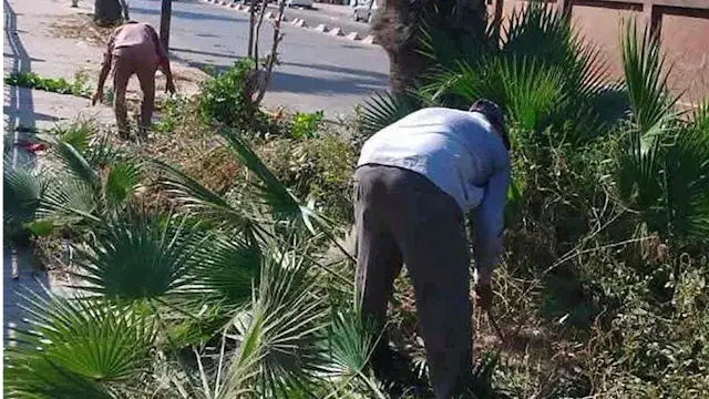 أحواض الزينة تعود للحياة في شو...