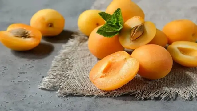 كيف يؤثر تناول المشمش على الجس...