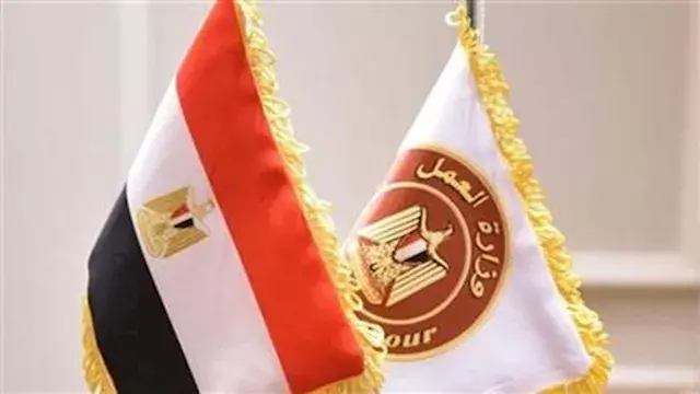 العمل: غلق منشآت خطرة وإحالة 4...