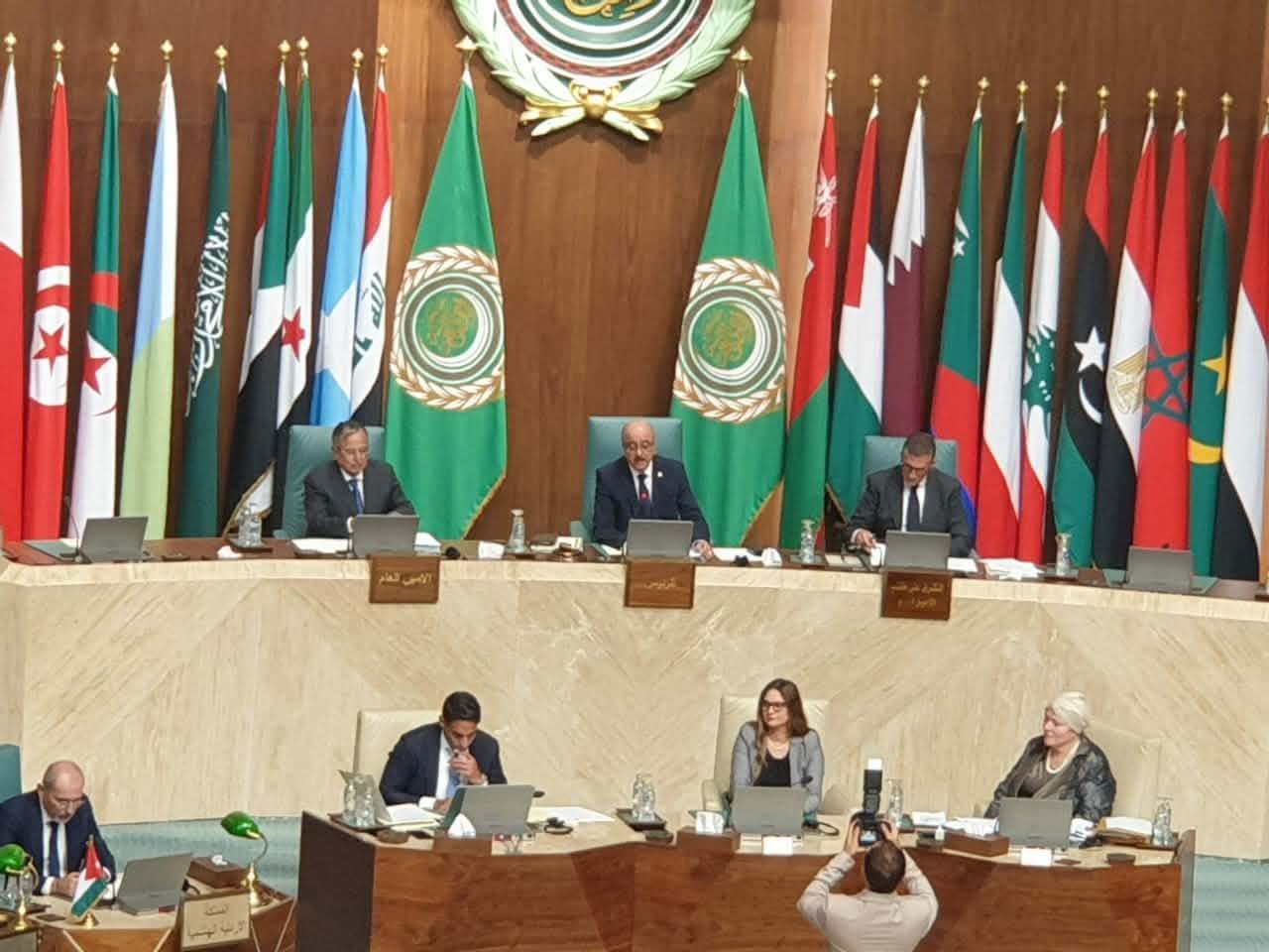 نبيل فهمي: سأعمل خلال ولايتي ع...