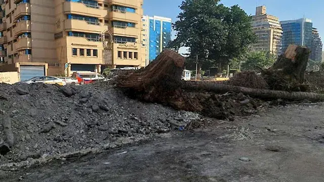 من شارع جامعة الدول إلى النياب...