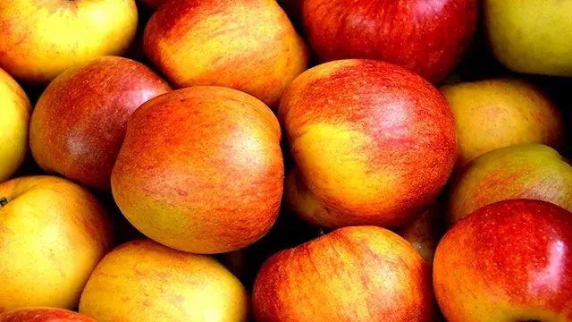 5 أطعمة ومشروبات تدعم صحة الرئ...