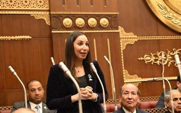 النائبة حنان وجدي: الدولة وضعت...