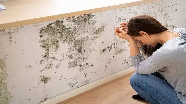كيف يؤثر العفن داخل المنزل على...
