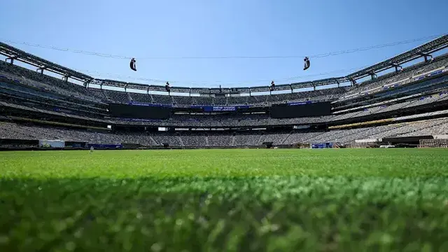 فيفا يطرح عشب ملعب نهائي كأس ا...