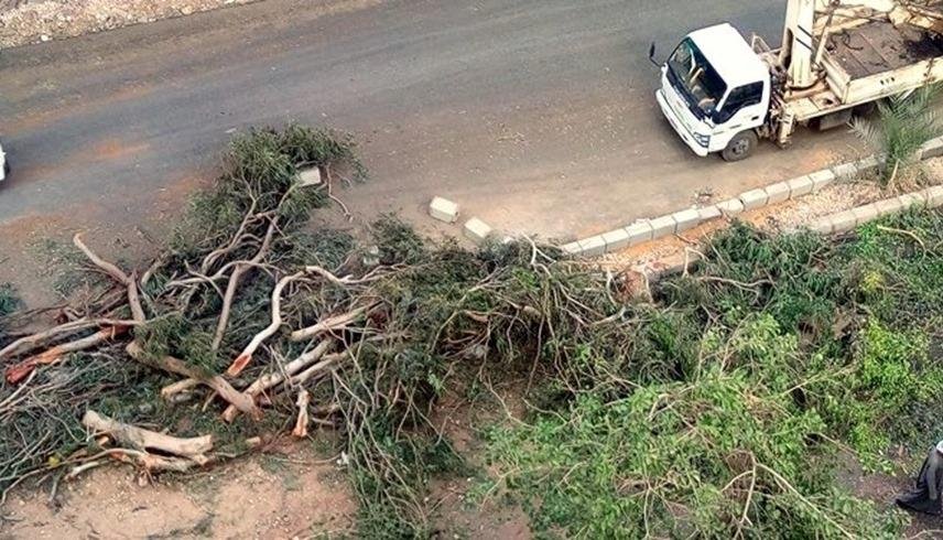 دعوات برلمانية للكشف عن ضوابط...