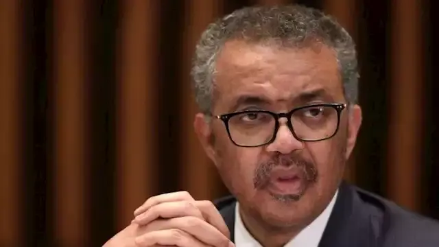 مدير الصحة العالمية: فيروس هانتا ليس كوفيد وخطر الإصابة منخفض