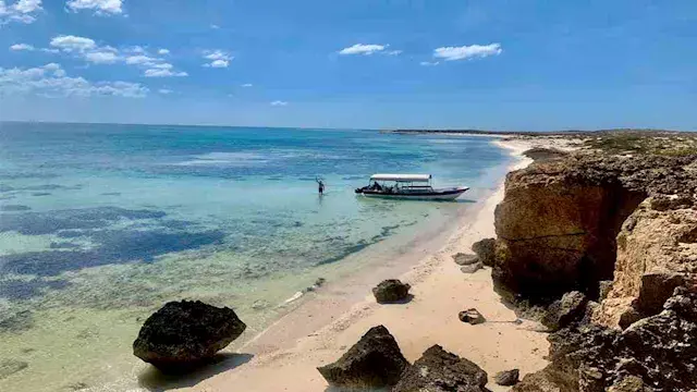 28 ألف بطة و100 كرة قدم.. أغرب...
