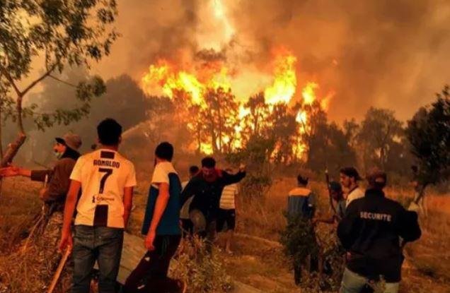 مصر تعزي الجزائر في ضحايا حرائ...