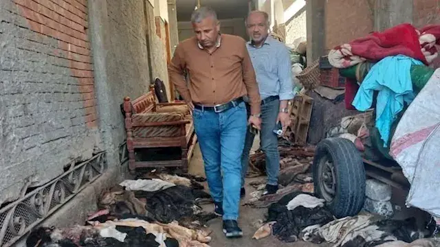 "الأهالي اشتكوا من الرائحة".. مصادرة جلود أضاحي مخزنة في منزل بالمنوفية (صور)