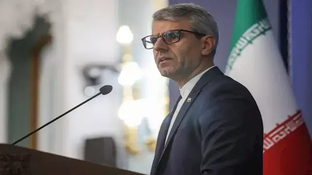 المتحدث باسم الخارجية الإيراني...