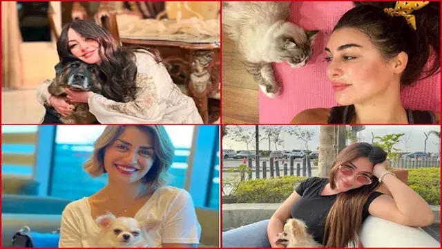 أبرزهن نرمين الفقي وياسمين صبر...