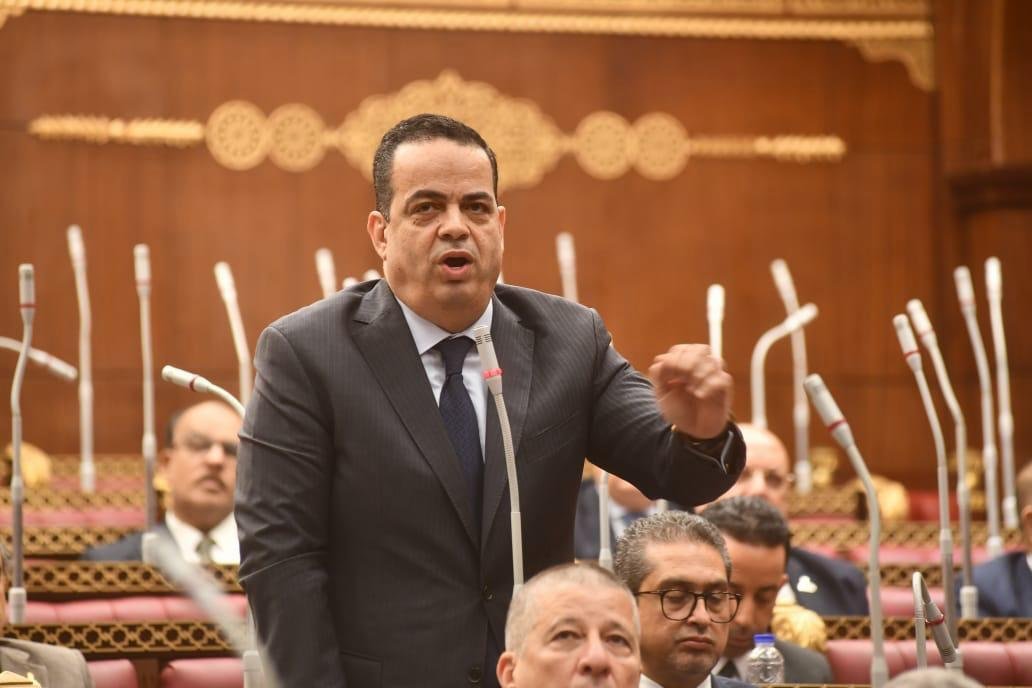 النائب عصام عفيفي: خطة التنمية...