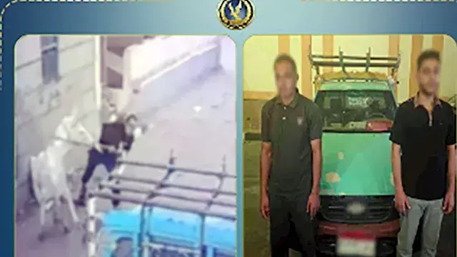 الداخلية تكشف حقيقة فيديو البل...