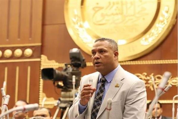 النائب محمد حمزة: شفافية الدول...
