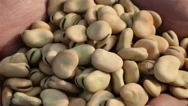ارتفاع أسعار الزيت واللحوم وال...