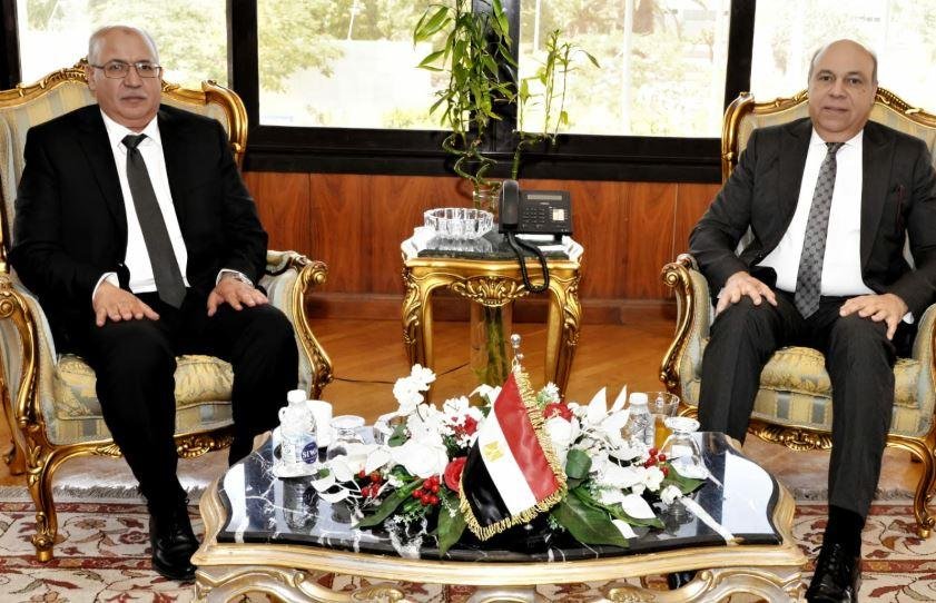 الحفني: التكامل العربي في قطاع...