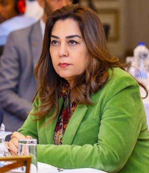 وزيرة التنمية المحلية والبيئة:...