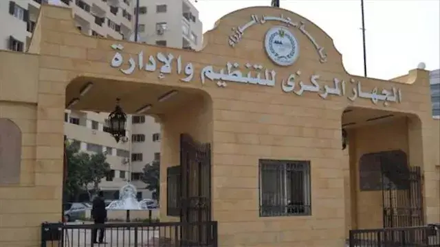 مفاجأة بالأرقام.. الكلاب 3 أضع...
