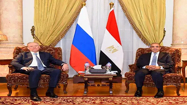 وزير الخارجية يستعرض جهود مصر...