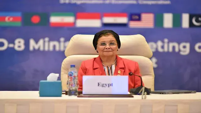 نائب وزير الصحة: حققنا طفرة في...