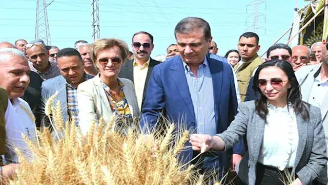 بالصور-  وزير الزراعة ووفد أوروبي يشهدان احتفالية ميكنة حصاد القمح بالبحيرة