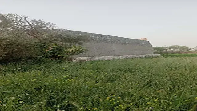 مسؤول بالزراعة: 1.2 متر مربع ف...