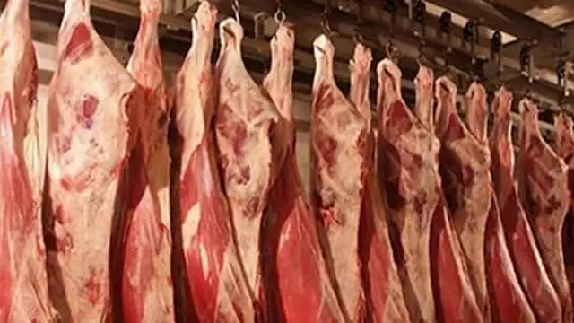 استعدادًا لعيد الأضحى.. تعرف على أسعار اللحوم بمجمعات الإسكندرية