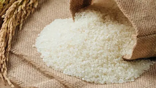 انخفاض أسعار الأرز والسكر والم...