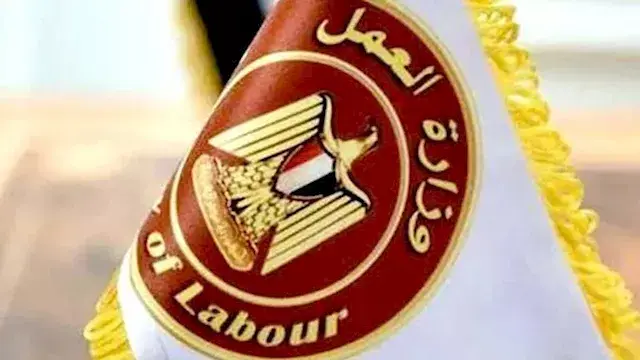 1230 فرصة عمل جديدة في 9 محافظ...