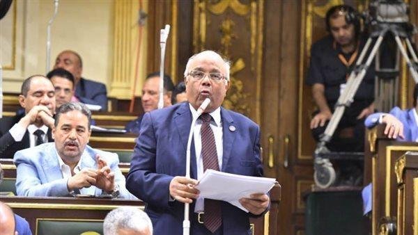 النائب محمد عطية الفيومي: هناك...