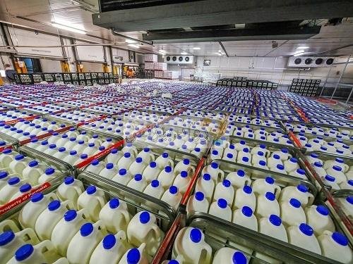 شركات الألبان تخالف الأسواق وت...