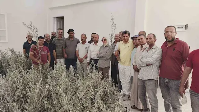 محافظ جنوب سيناء ينهي أزمة مزارعي تجمع النهايات برأس سدر ويعوضهم بشتلات زيتون جديدة
