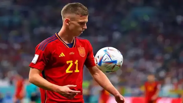 داني أولمو يشيد بمستوى منتخب م...