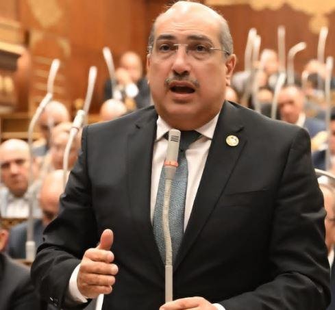 النائب إيهاب وهبة: خطة التنمية...
