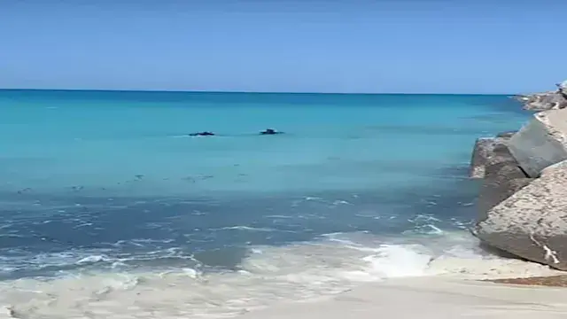 من العلمين إلى مطروح.. أشهر ال...