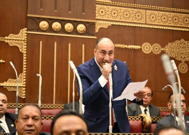 النائب عمرو رشاد يطالب بحضور م...